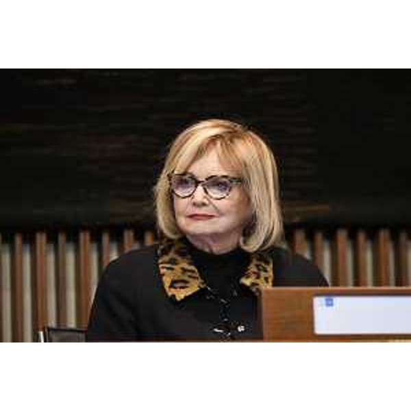 Laura Fasiolo (Pd) - Laura Fasiolo (Pd)