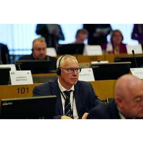 Il presidente del Consiglio regionale Fvg, Mauro Bordin, a Bruxelles per la riunione della Coter - Il presidente del Consiglio regionale Fvg, Mauro Bordin, a Bruxelles per la riunione della Coter