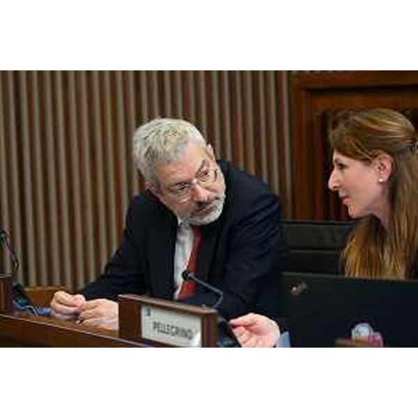 Furio Honsell (Open Sinistra Fvg) e Rosaria Capozzi (M5S) - Furio Honsell (Open Sinistra Fvg) e Rosaria Capozzi (M5S)