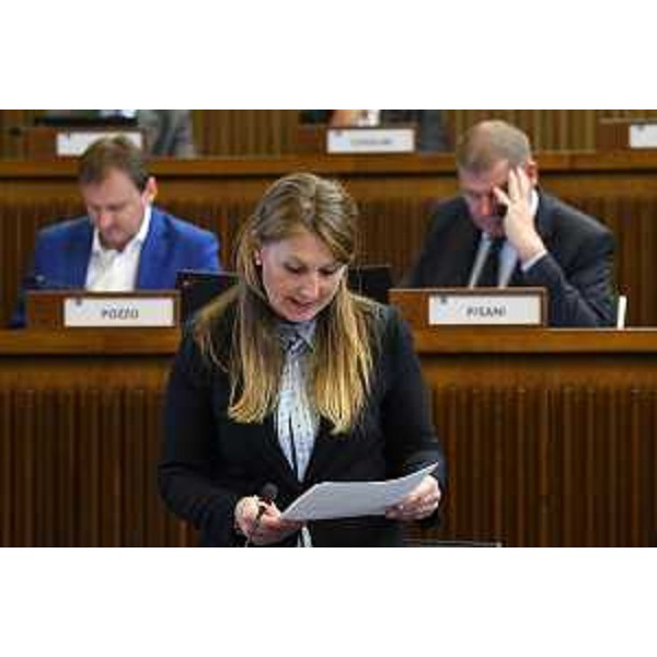 Rosaria Capozzi (M5S) - Rosaria Capozzi (M5S)