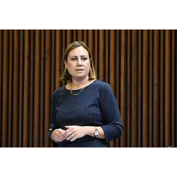 Manuela Celotti (Pd) - Manuela Celotti (Pd)