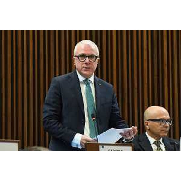 Andrea Cabibbo (Forza Italia) - Andrea Cabibbo (Forza Italia)