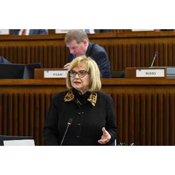 Laura Fasiolo (Pd) - Laura Fasiolo (Pd)