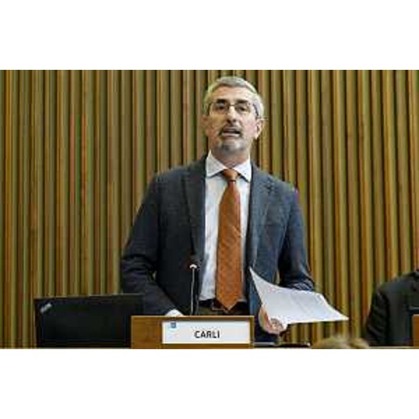 Andrea Carli (Pd) - Andrea Carli (Pd)