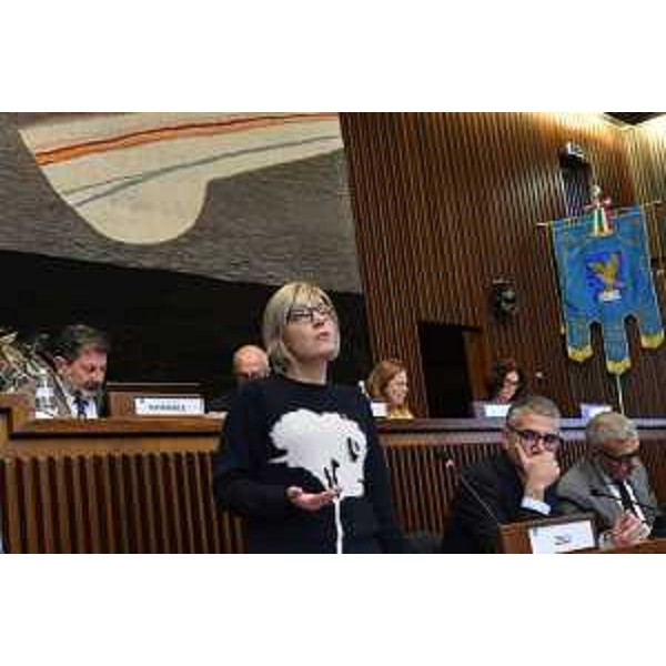 L'assessore alle Finanze Barbara Zilli. - L'assessore alle Finanze Barbara Zilli.