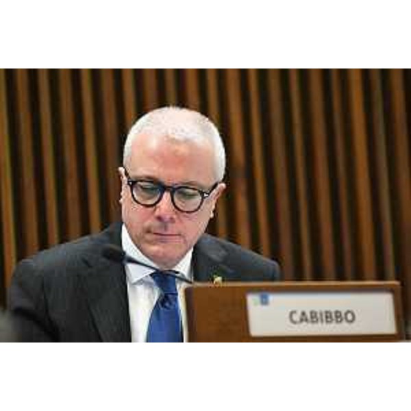 Andrea Cabibbo (Forza Italia) - Andrea Cabibbo (Forza Italia)