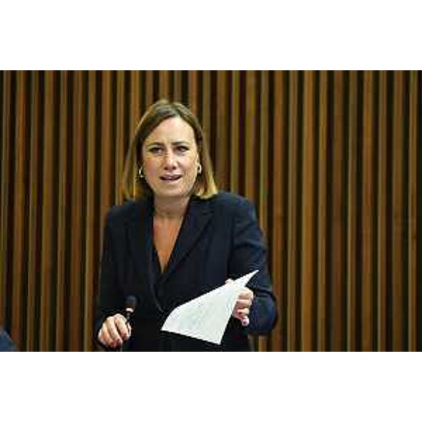 Manuela Celotti (Pd) - Manuela Celotti (Pd)