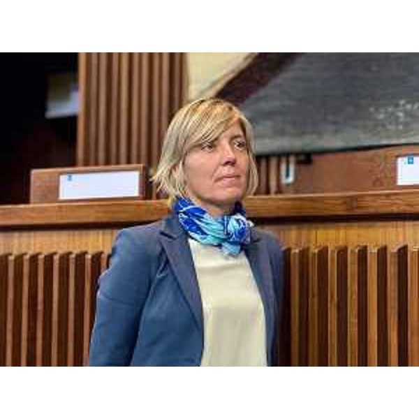 L'assessore regionale alle Finanze Barbara Zilli - L'assessore regionale alle Finanze Barbara Zilli