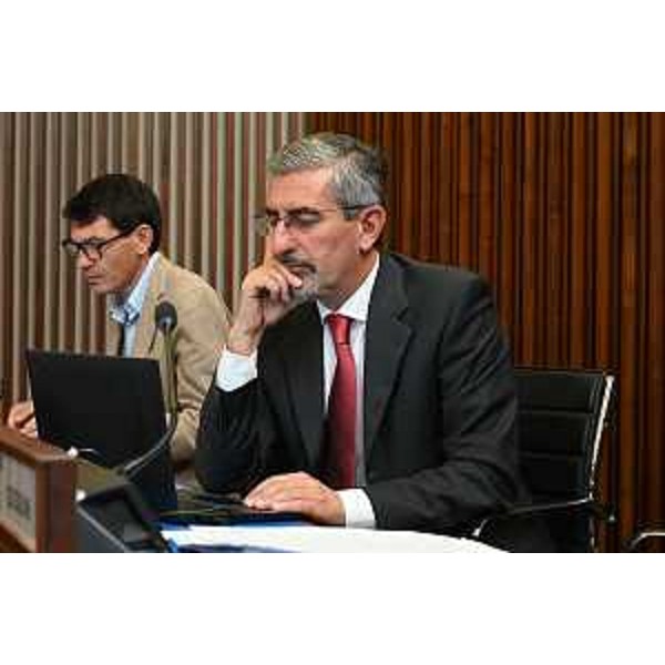 Andrea Carli (Pd) - Andrea Carli (Pd)