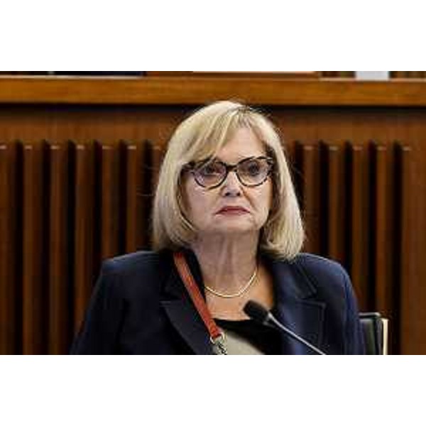 Laura Fasiolo (Pd) - Laura Fasiolo (Pd)