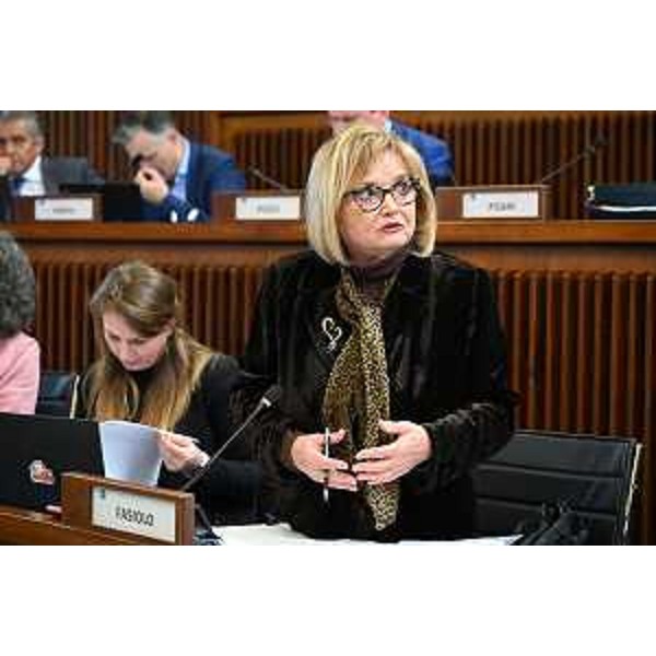 Laura Fasiolo (Pd) - Laura Fasiolo (Pd)