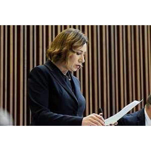 Manuela Celotti (Pd) - Manuela Celotti (Pd)