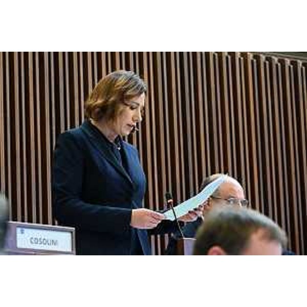 Manuela Celotti (Pd) - Manuela Celotti (Pd)