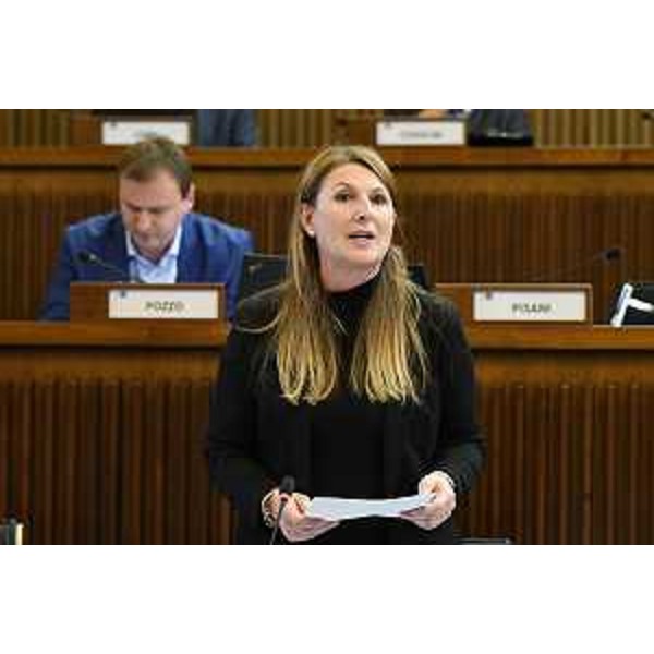 Rosaria Capozzi (M5s) - Rosaria Capozzi (M5s)