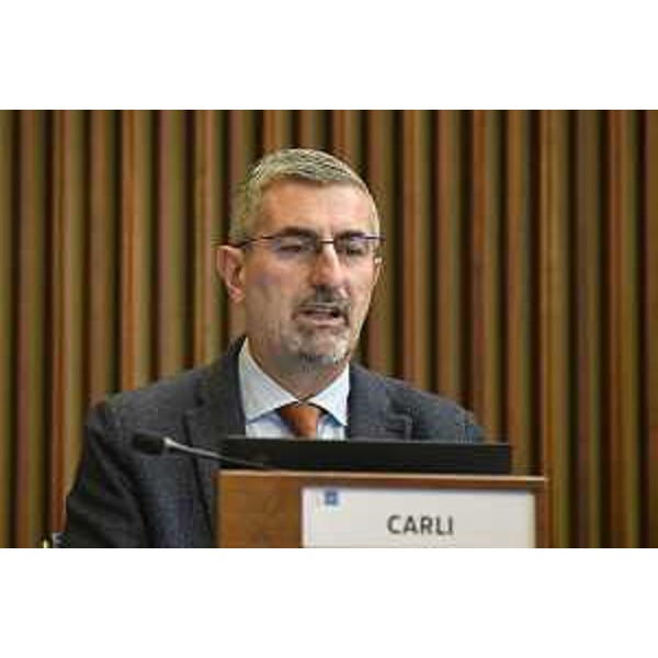 Andrea Carli (Pd) - Andrea Carli (Pd)