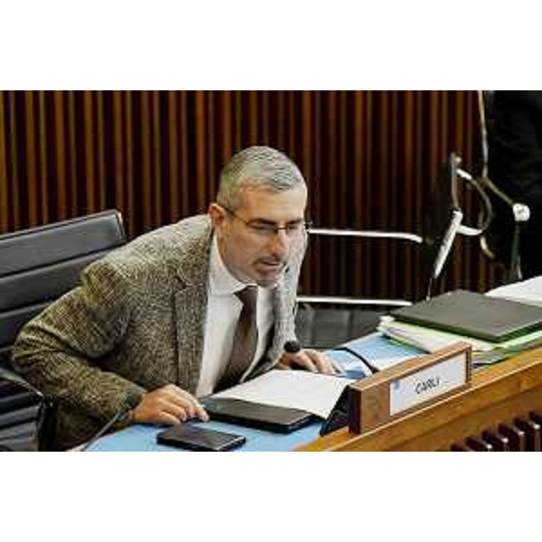 Andrea Carli (Pd) - Andrea Carli (Pd)