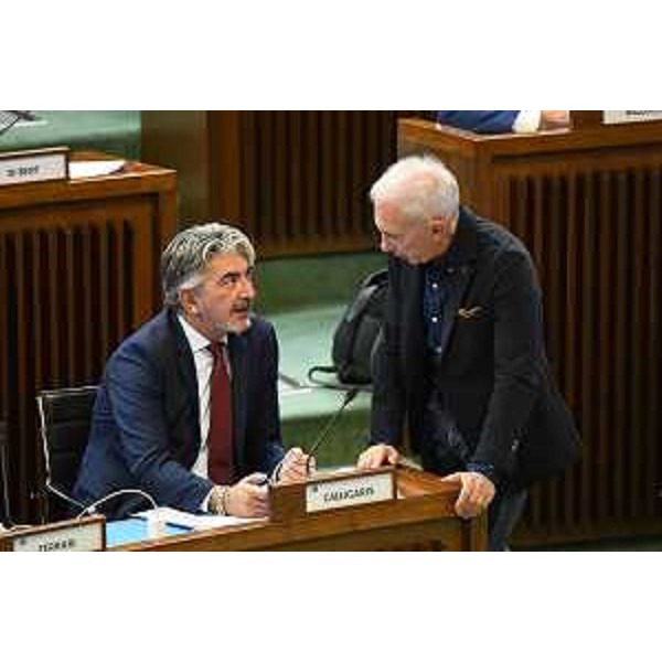 Antonio Calligaris (Lega) e Roberto Novelli (FI) - Antonio Calligaris (Lega) e Roberto Novelli (FI)