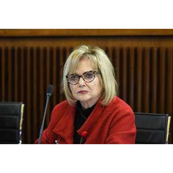 Laura Fasiolo (Pd) - Laura Fasiolo (Pd)