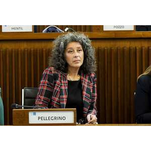 Serena Pellegrino (Avs) - Serena Pellegrino (Avs)