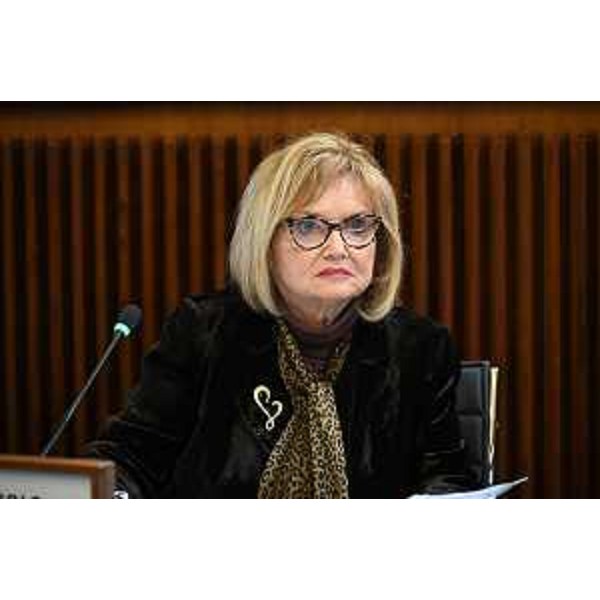 Laura Fasiolo (Pd) - Laura Fasiolo (Pd)