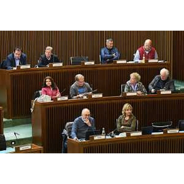 Sindaci, tecnici e rappresenati delle associzioni auditi in IV Commisione - Sindaci, tecnici e rappresenati delle associzioni auditi in IV Commisione