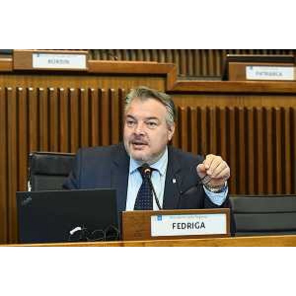 Il presidente della V Commissione, Diego Bernardis (Fp) - Il presidente della V Commissione, Diego Bernardis (Fp)