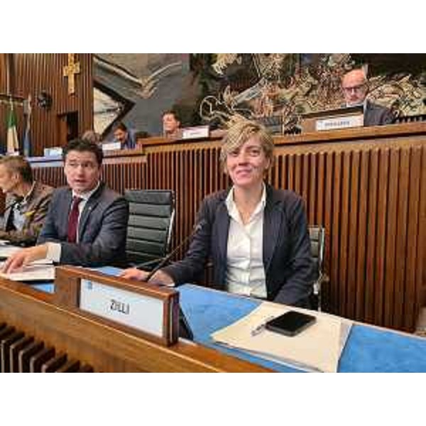 L'assessore regionale alle Finanze Barbara Zilli in I Commissione - L'assessore regionale alle Finanze Barbara Zilli in I Commissione