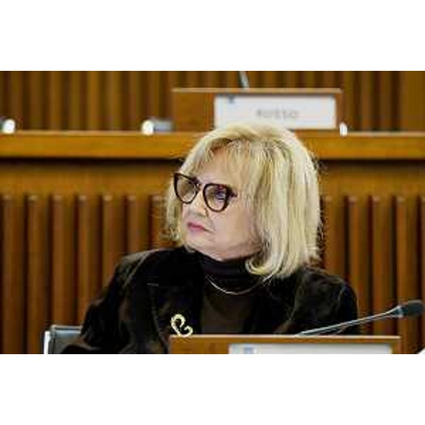 Laura Fasiolo (Pd) - Laura Fasiolo (Pd)