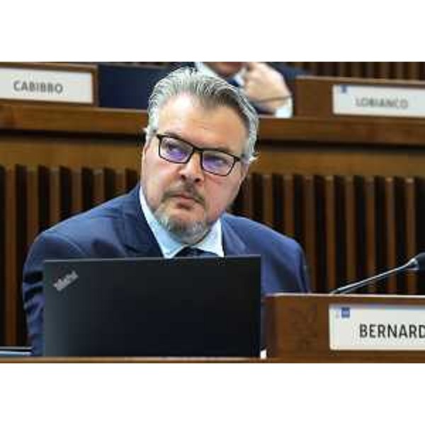 Diego Bernardis (Fedriga presidente) - Diego Bernardis (Fedriga presidente)