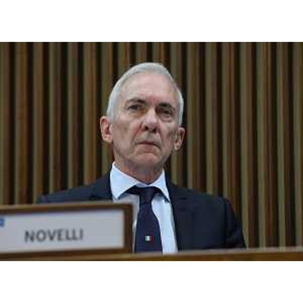 Roberto Novelli (FI) - Roberto Novelli (FI)