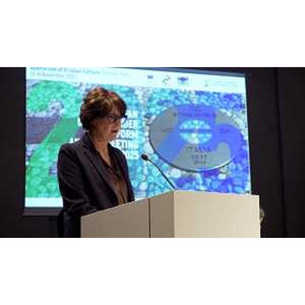 L'assessore regionale Alessia Rosolen interviene al panel Regioni transfrontaliere e allargamento dellUe a cura di AEBR-Association of European Border Regions nellambito della European Crossborder Platform - L'assessore regionale Alessia Rosolen interviene al panel Regioni transfrontaliere e allargamento dellUe a cura di AEBR-Association of European Border Regions nellambito della European Crossborder Platform 