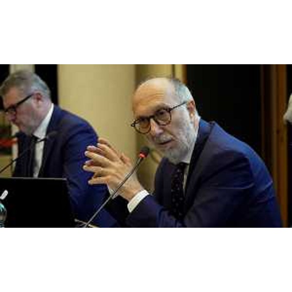 L'assessore Riccardi nel corso del suo intervento - L'assessore Riccardi nel corso del suo intervento