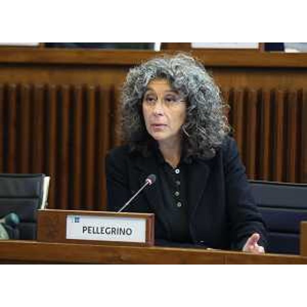 Serena Pellegrino (Avs) - Serena Pellegrino (Avs)