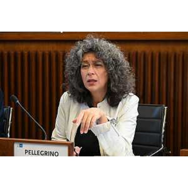 Serena Pellegrino (Avs) - Serena Pellegrino (Avs)