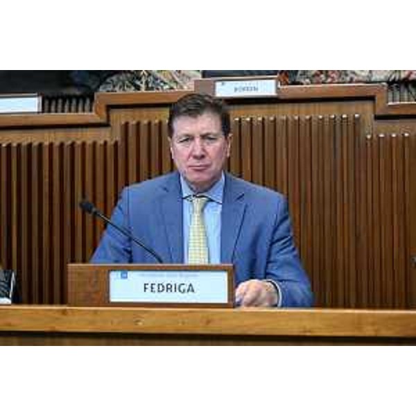 Il presidente della IV Commissione, Alberto Budai (Lega) - Il presidente della IV Commissione, Alberto Budai (Lega)